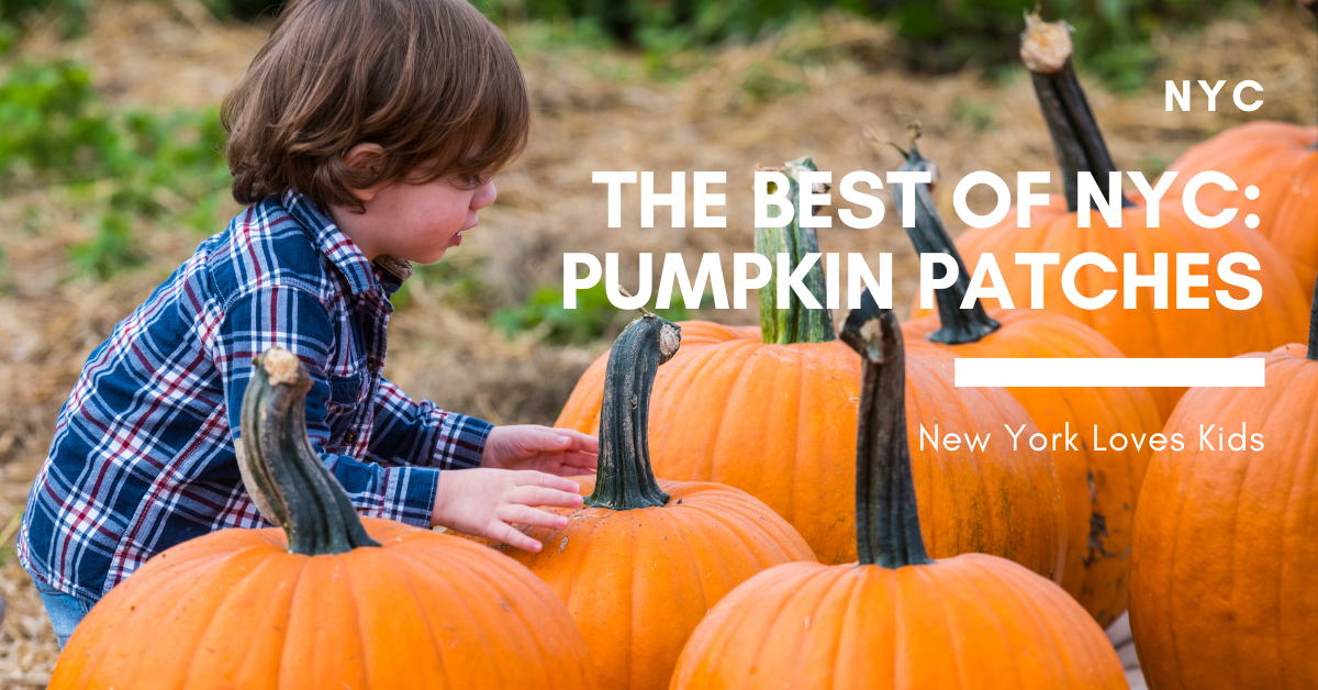 The Best of NYC Pumpkin Patches