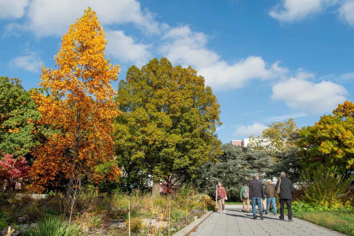 FREE Admission November through March at Queens Botanical Garden