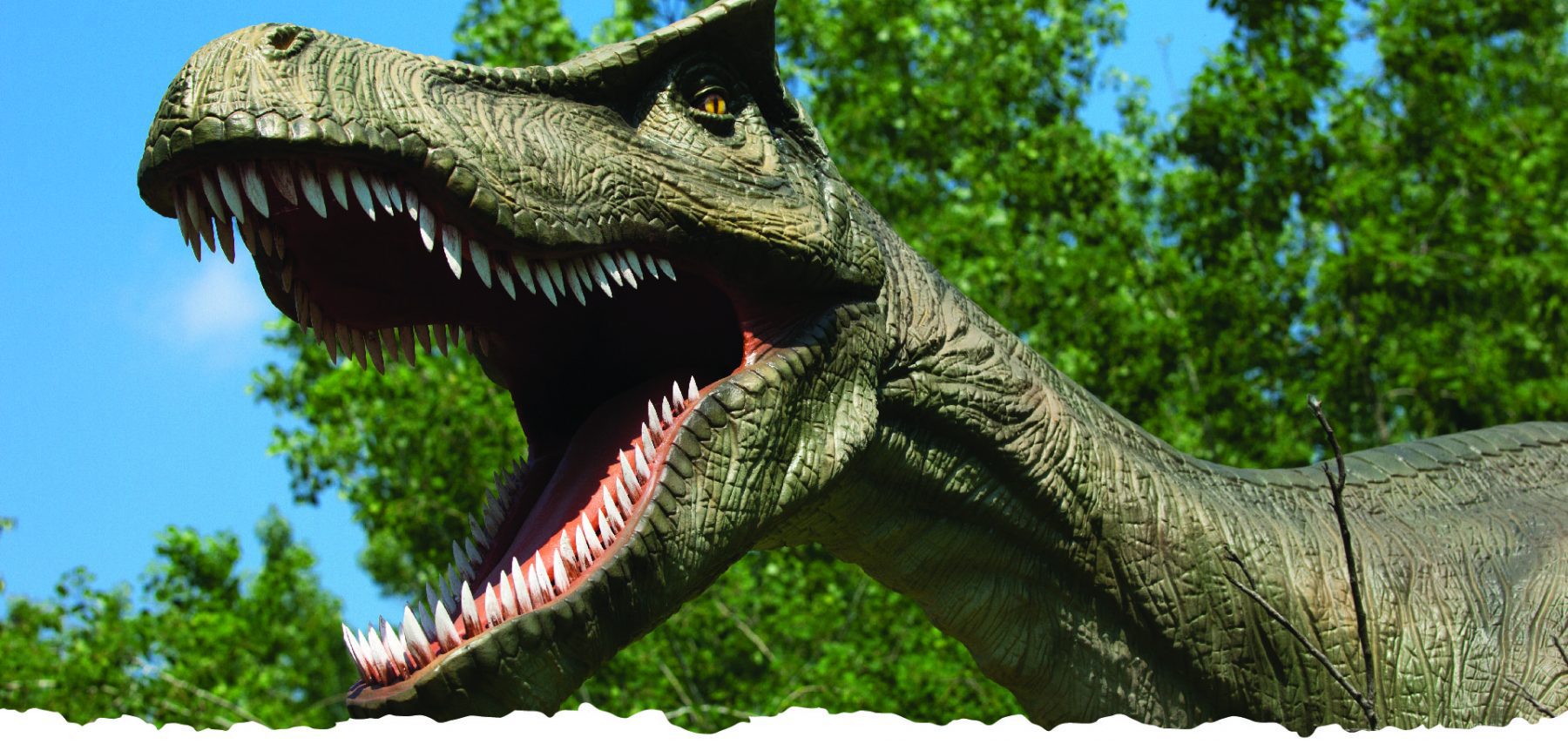 Get up Close and Personal with Dinosaurs at Field Station: Dinosaurs in New Jersey
