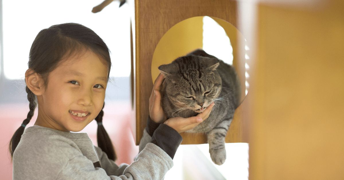 The Best Cat Cafes in NYC