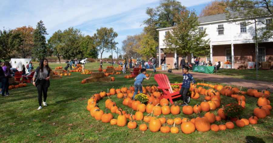 Governors Island's Pumpkin Point Opens This Weekend