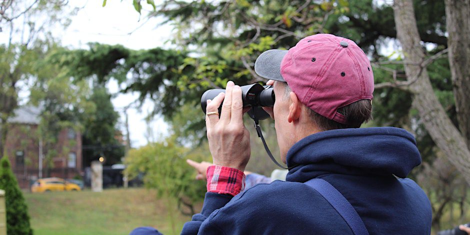 Fall Bird Walks with NYC Audubon