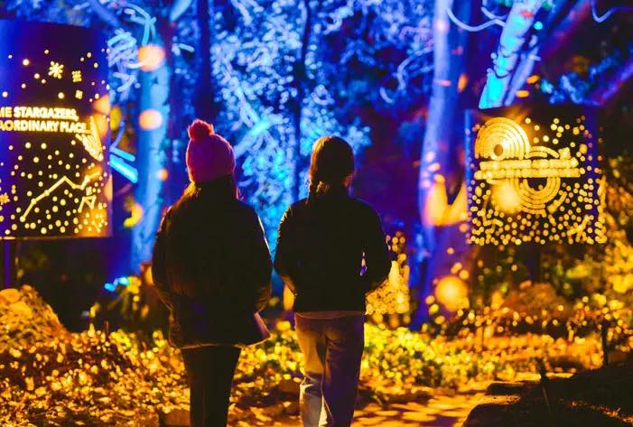 Astra Lumina at Queens Botanical Garden