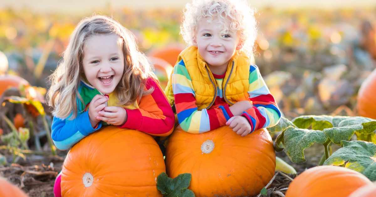 Wayanda Park Fall Festival