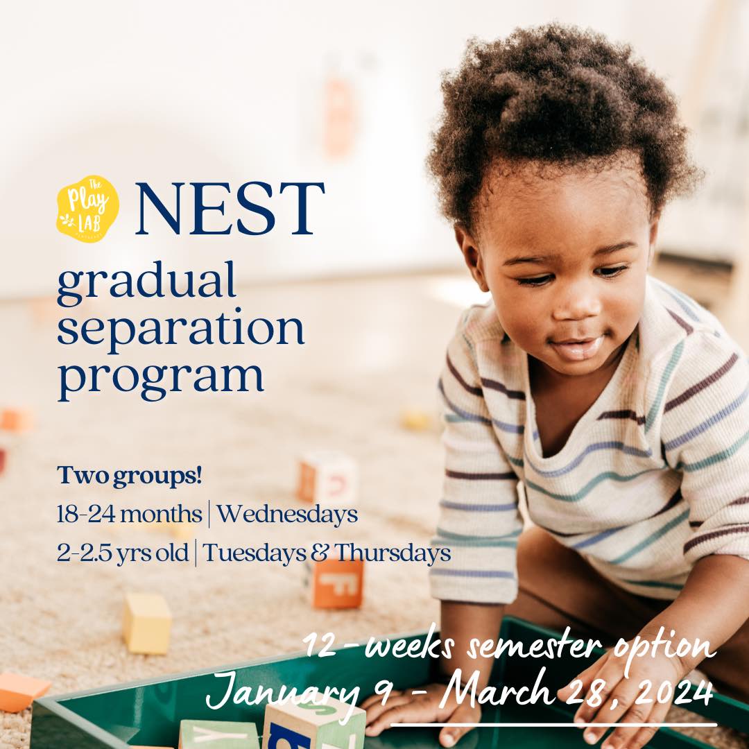 Nest Program | Gradual Separation Program at The Play Lab