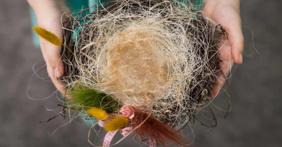 Kids Week: Nest Building