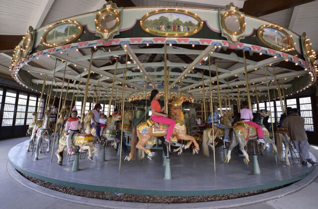 Carousel Rides