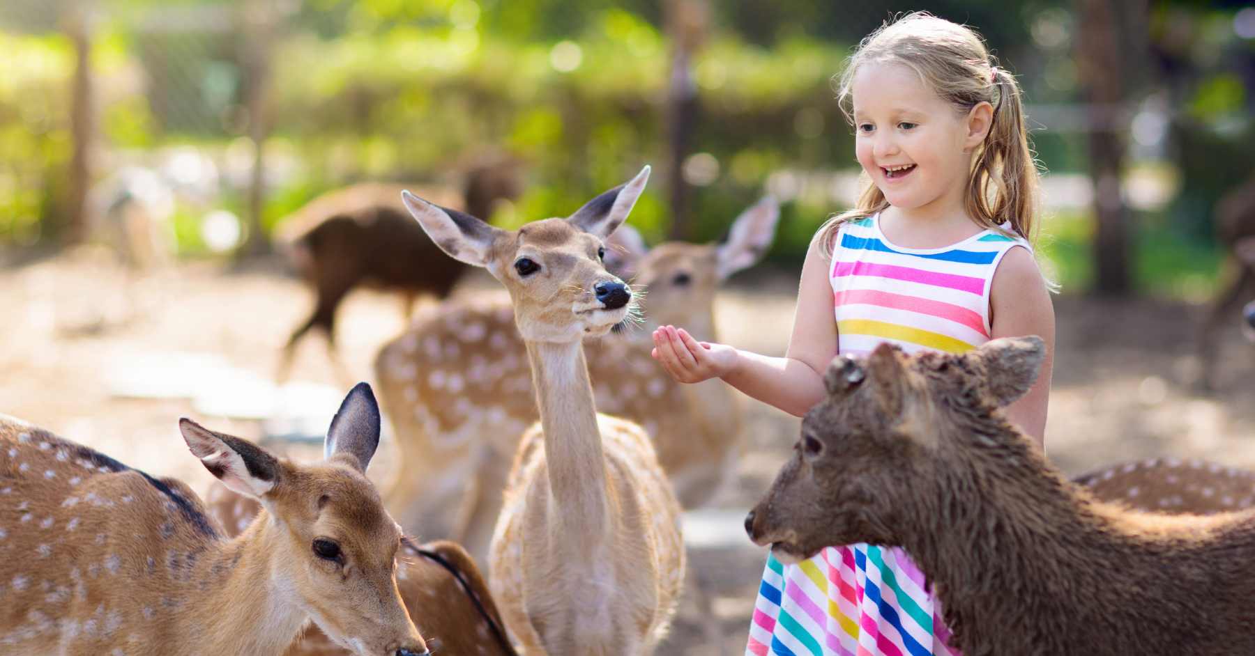 The Best Animal Encounters for NYC Kids