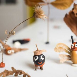 Insect Exploration and Crafts