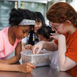 Amazon Free Hours at Brooklyn Children's Museum