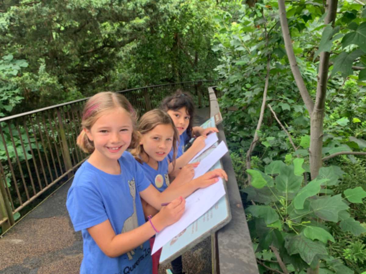 Queens Zoo Summer Camp