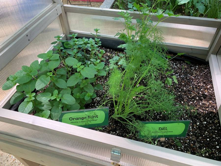Garden Explorers at Bryant Park