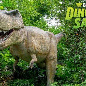 Get ready for a roaring adventure at the Bronx Zoo’s Dinosaur Safari, back for another exciting season! Walk along a scenic ⅓-mile trail and come face-to-face with over 60 life-sized animatronic dinosaurs, including 11 all-new speciesfor 2025. From the towering Giganotosaurus to the classic T. rex and Triceratops, this immersive experience is packed with prehistoric thrills.