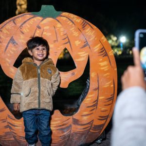 Harvest Glow at Bronx Zoo