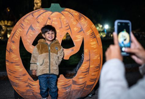 Harvest Glow at Bronx Zoo