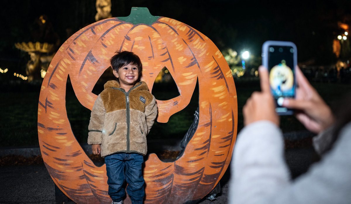 Harvest Glow at Bronx Zoo