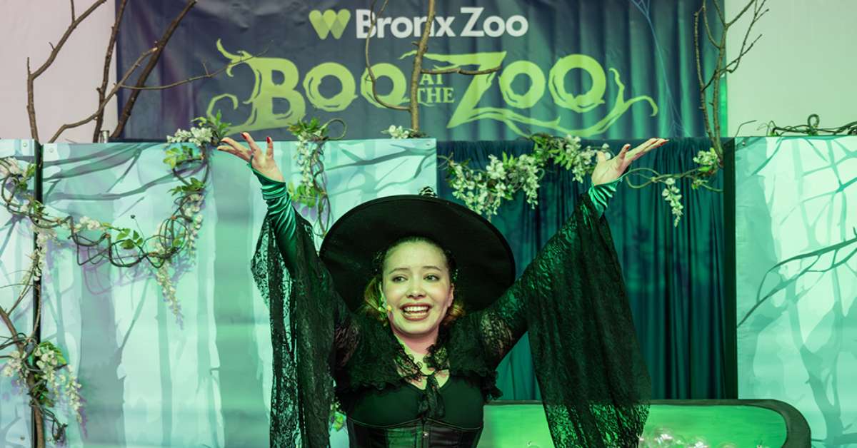 Boo at the Zoo