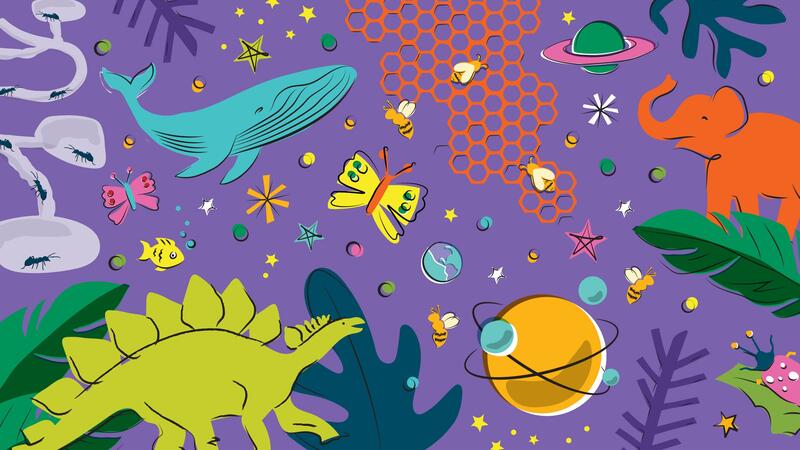 Family Party at AMNH