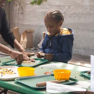 Fall First Discoveries at Brooklyn Botanic Garden