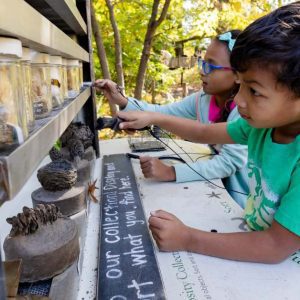 Fall Family Discovery Weekends at Brooklyn Botanic Garden
