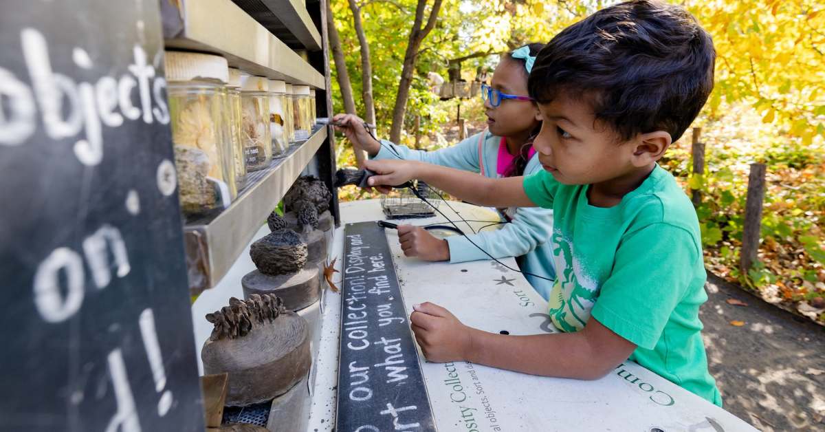 Fall Family Discovery Weekends at Brooklyn Botanic Garden