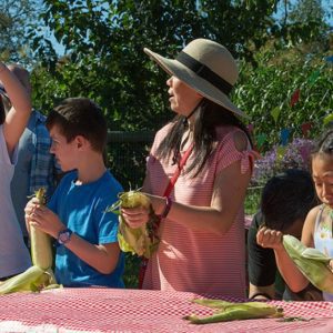 42nd Annual Queens Agricultural Fair