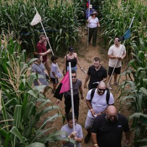 The Amazing Maize Maze