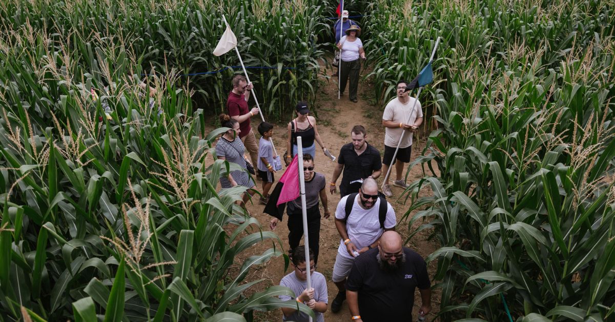 The Amazing Maize Maze