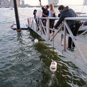 Release of the Fishes