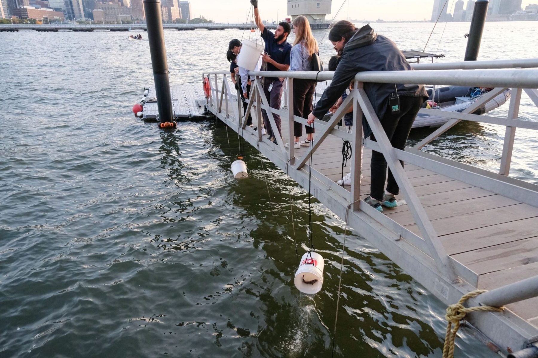 Release of the Fishes