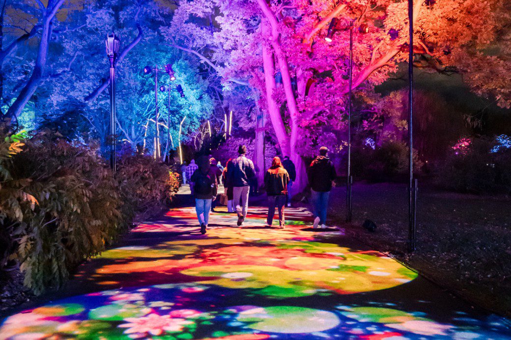 Lightscape at Brooklyn Botanic Garden