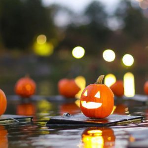 Halloween on the Harlem Meer