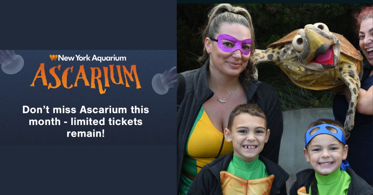 Ascarium at New York Aquarium