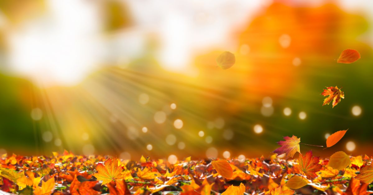 Fall Festival at 104th Street Garden
