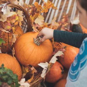 Rockaway Fall Festival