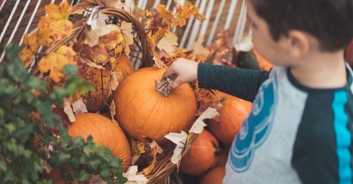Rockaway Fall Festival