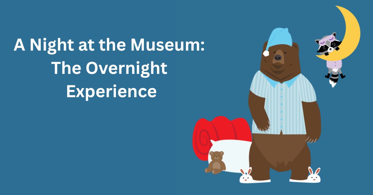 Overnight Sleepovers Are Back at the American Museum of Natural History