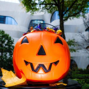 Halloween Celebration at AMNH