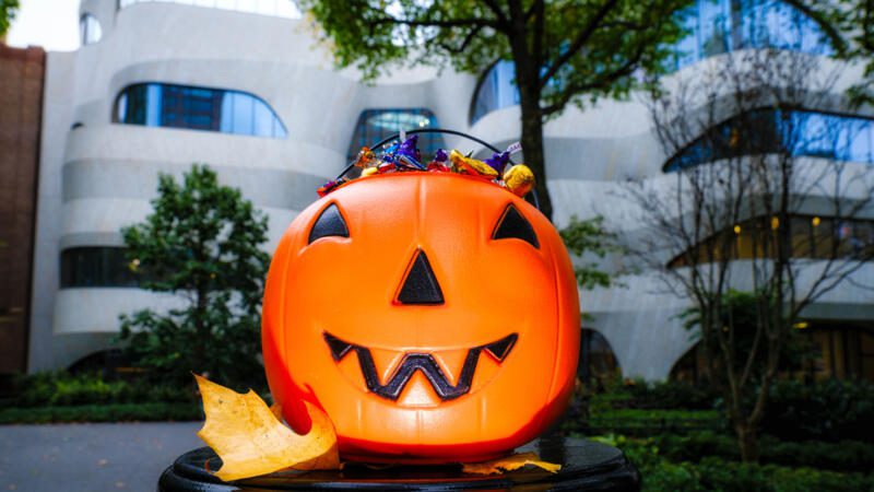 Halloween Celebration at AMNH