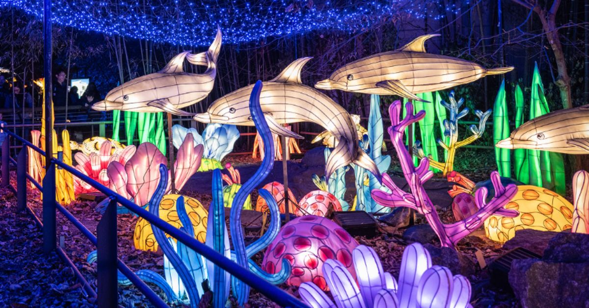 Bronx Zoo Holiday Lights