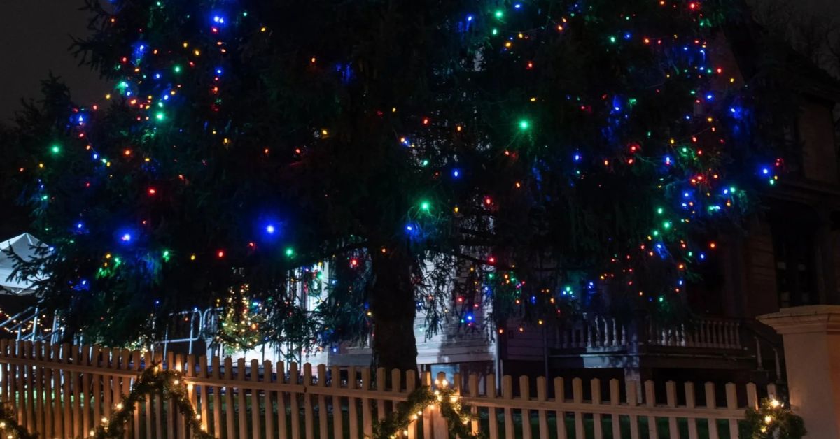 Tree Lighting at Historic Richmond Town