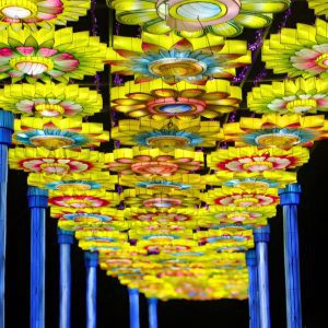 Luminosa: A Festival of Lights