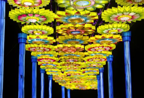 Luminosa: A Festival of Lights