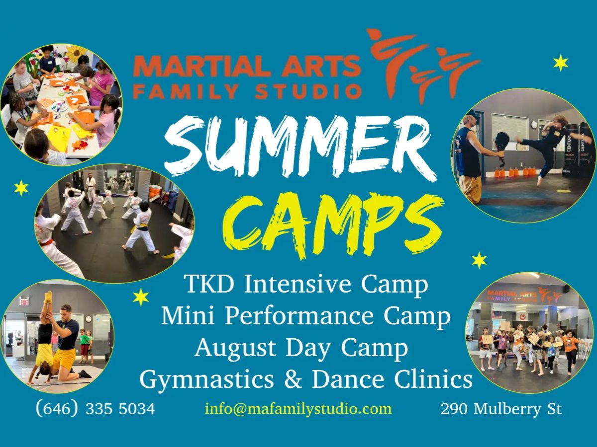 Martial Arts Family Studio