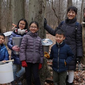 Maple Tap Fest 2026!