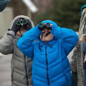 Family Birding at Wave Hill