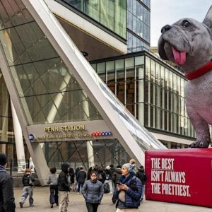 Celebrate the Beauty of Real Pups with The Honest Kitchen