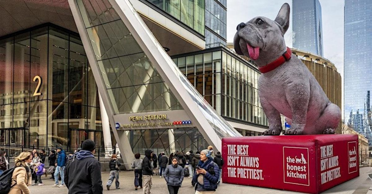 Celebrate the Beauty of Real Pups with The Honest Kitchen