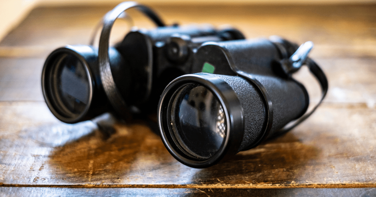 Winter Shoreline Wildlife Watch