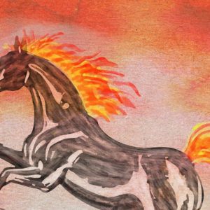 Losar Family Celebration: Year of the Fire Horse